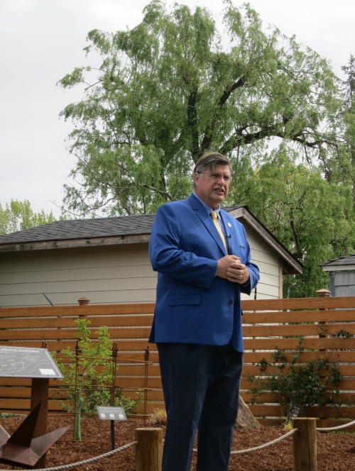 Mayor John McArdle standing in front of the garden with the Ginkgo tree in background